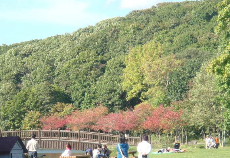 金太郎の池「紅葉の始まり」