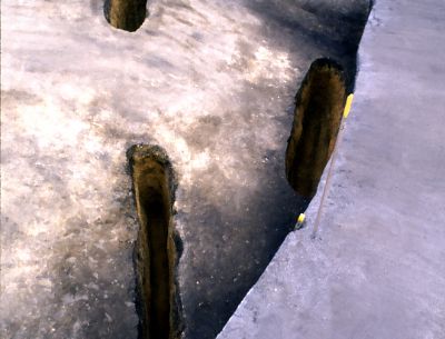 シカ用の落とし穴(幅1.5m×長さ2~3m×深さ1.5m)